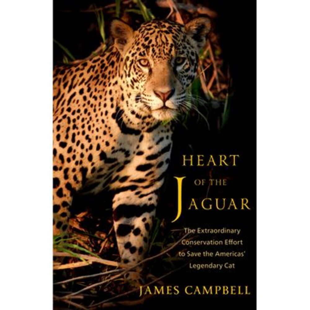 Heart of the Jaguar: The Extraordinary Conservation Effort to Save the Americas'